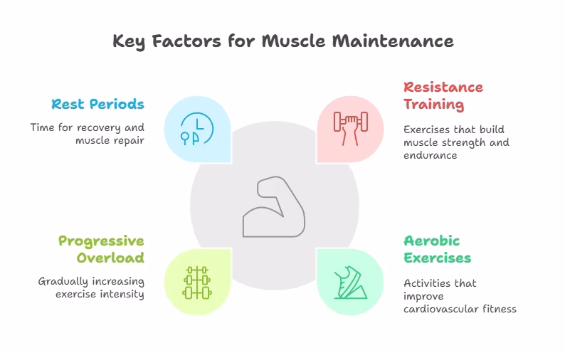 how to maintain muscle mass during weight loss